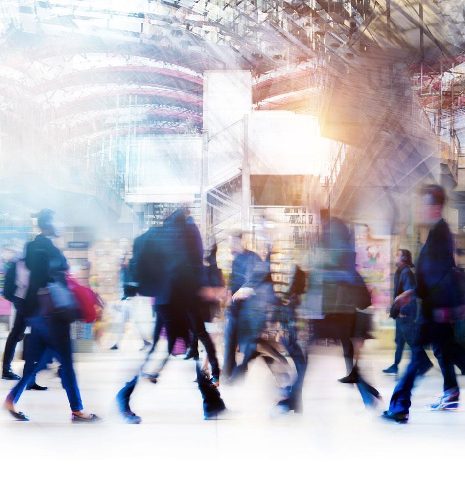 shutterstock_1444090418-cropped