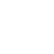 Philanthropic Strategies icon<br/>