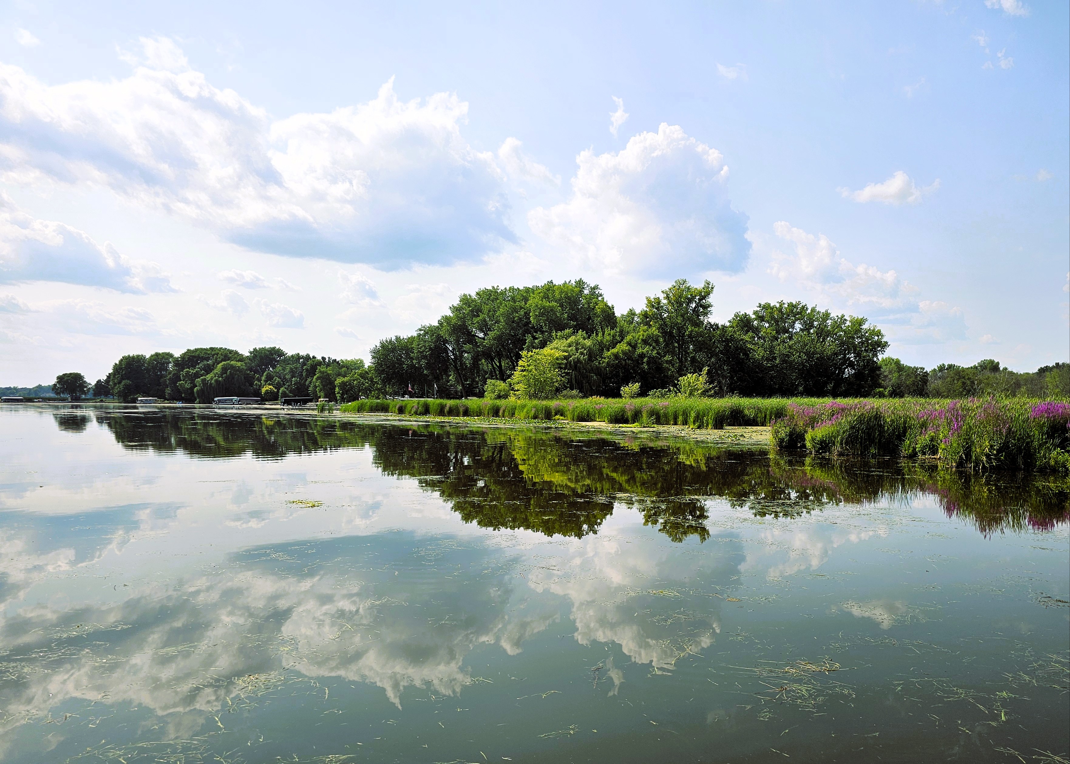 Main OfficeForest Lake