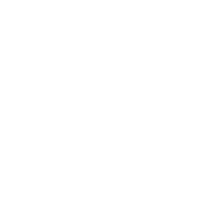 Insurance Planning icon<br/>
