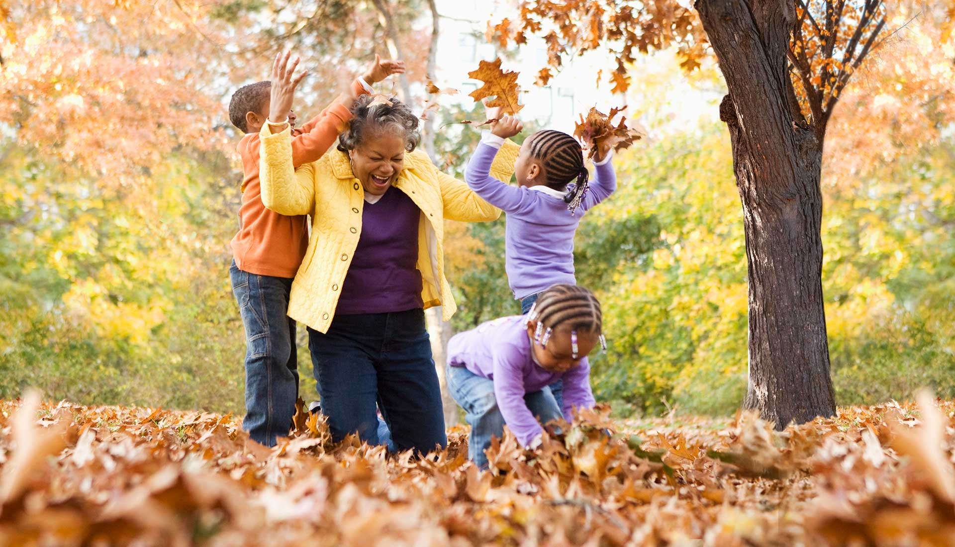 A rich tapestry of capabilities.