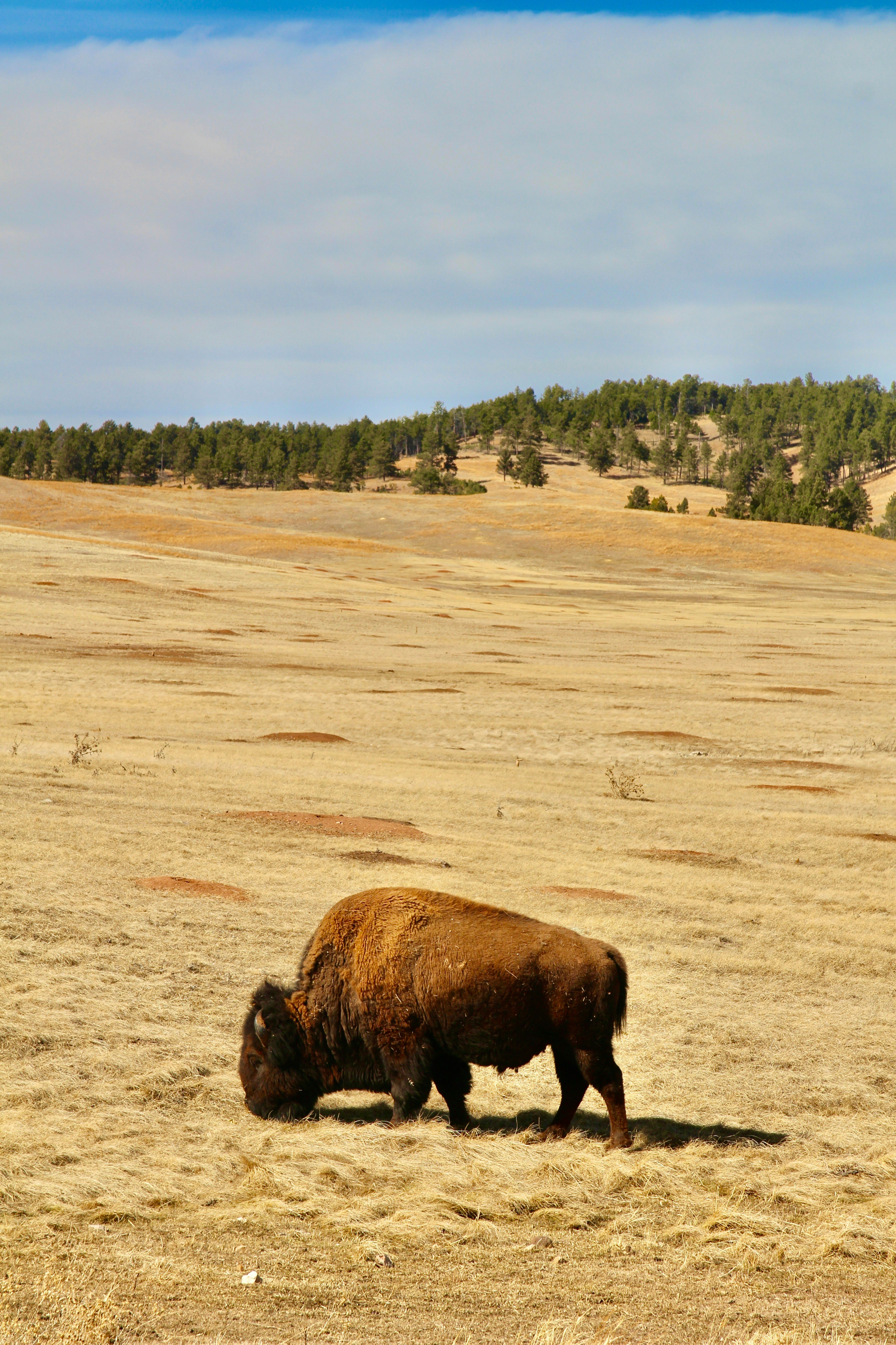 We’ve helped South Dakota pursue its goals for over a decade. We know how to make the most of yours.