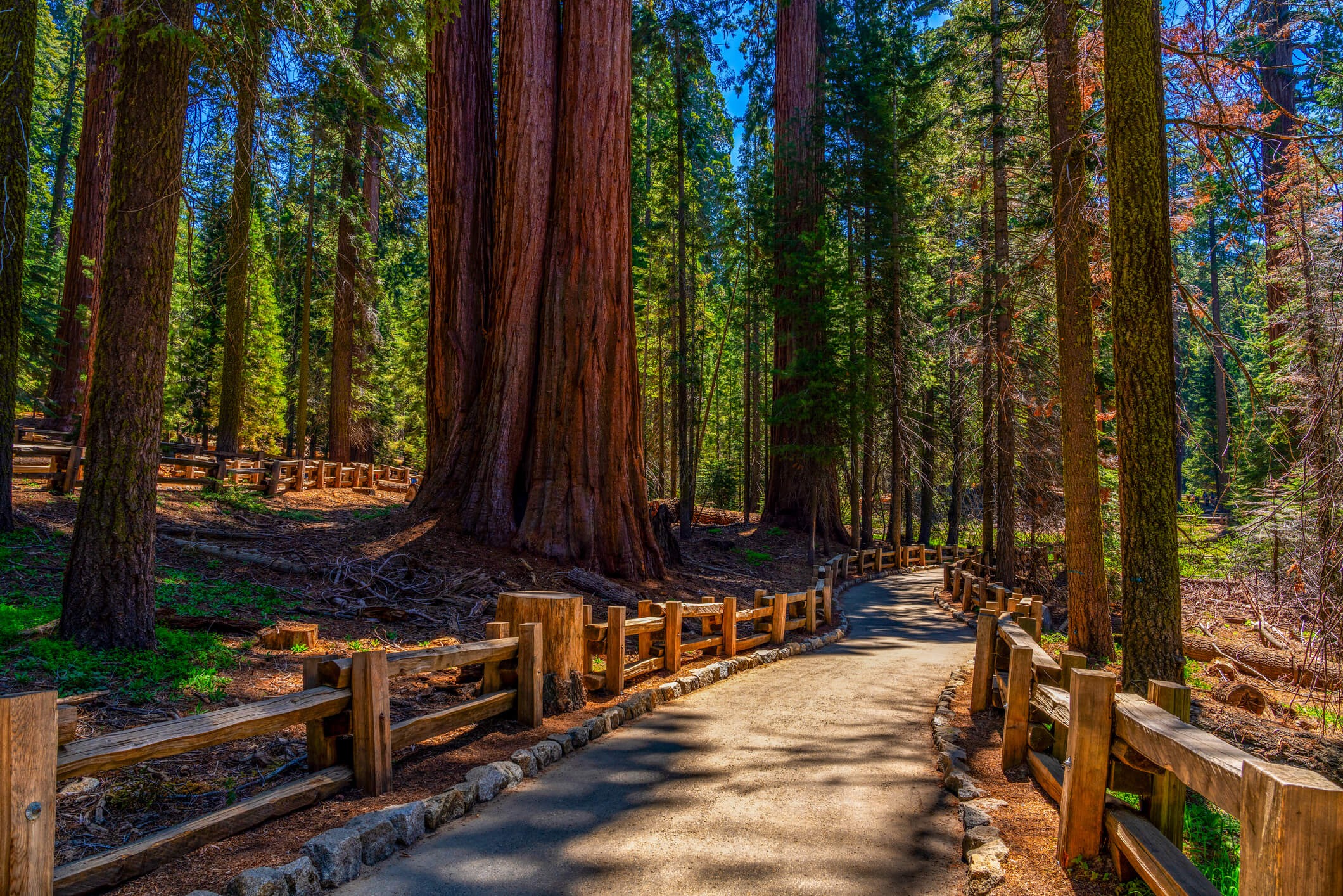 Business Succession Planning