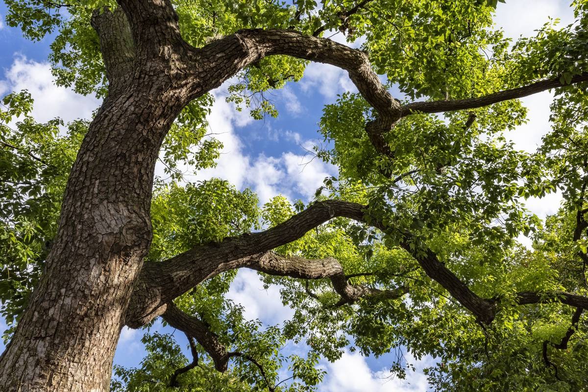 Estate, Legacy & Charitable Giving