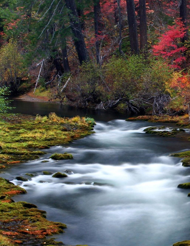 River with trees around