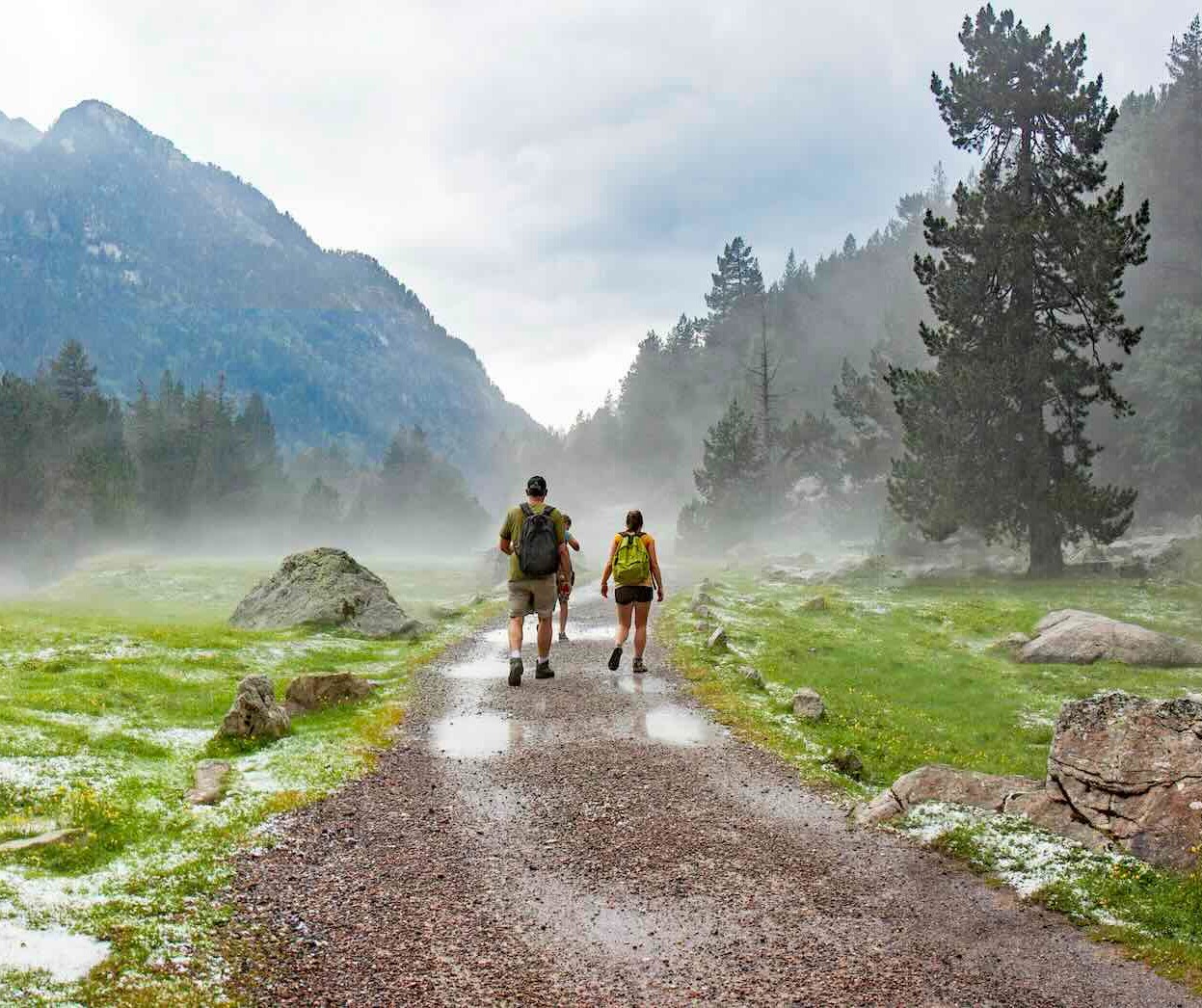 Individuals & Families