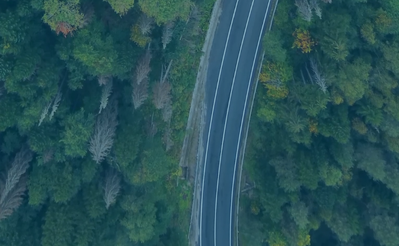 Navigate The Journey Ahead