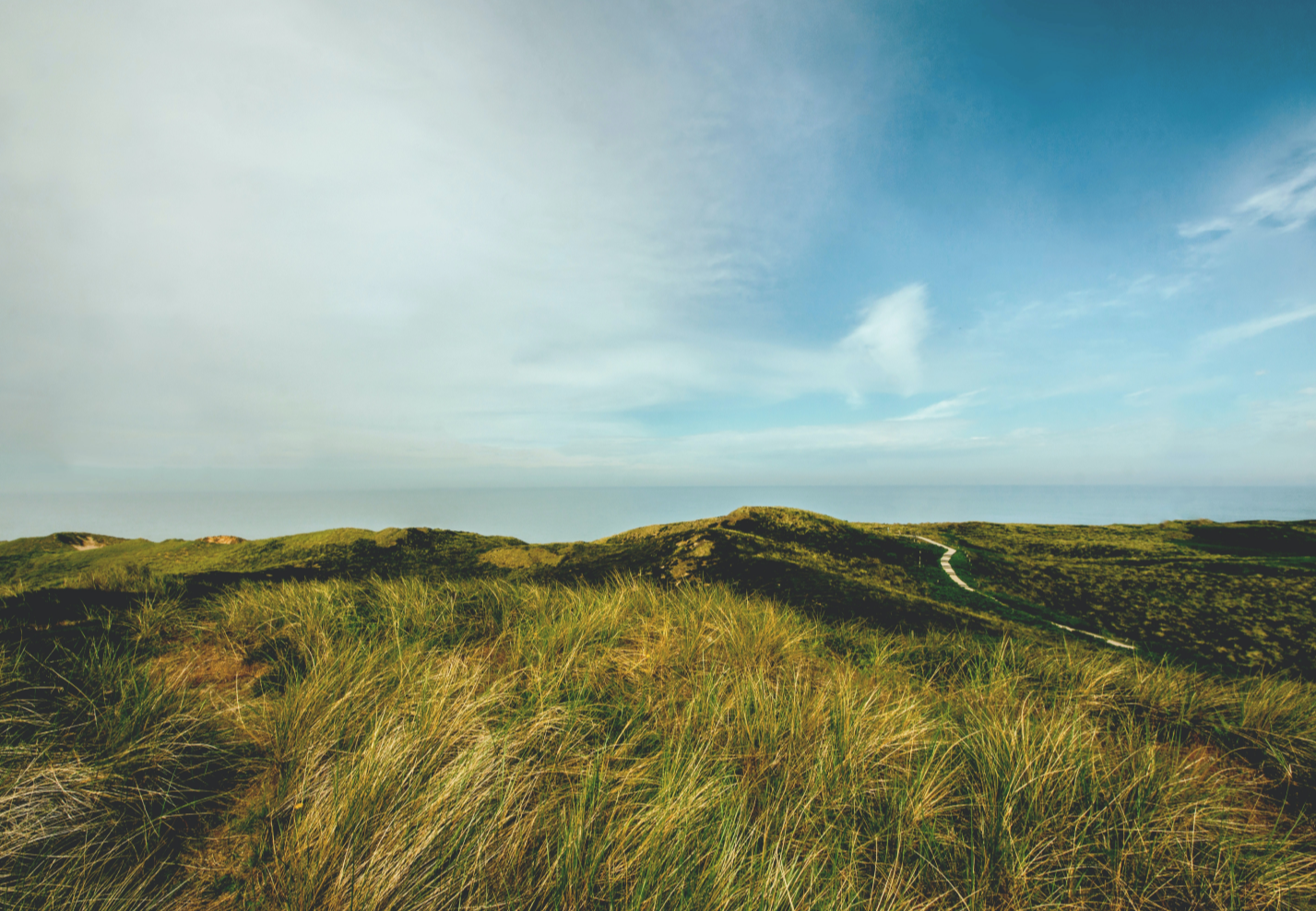 Green hills with a path running through them.