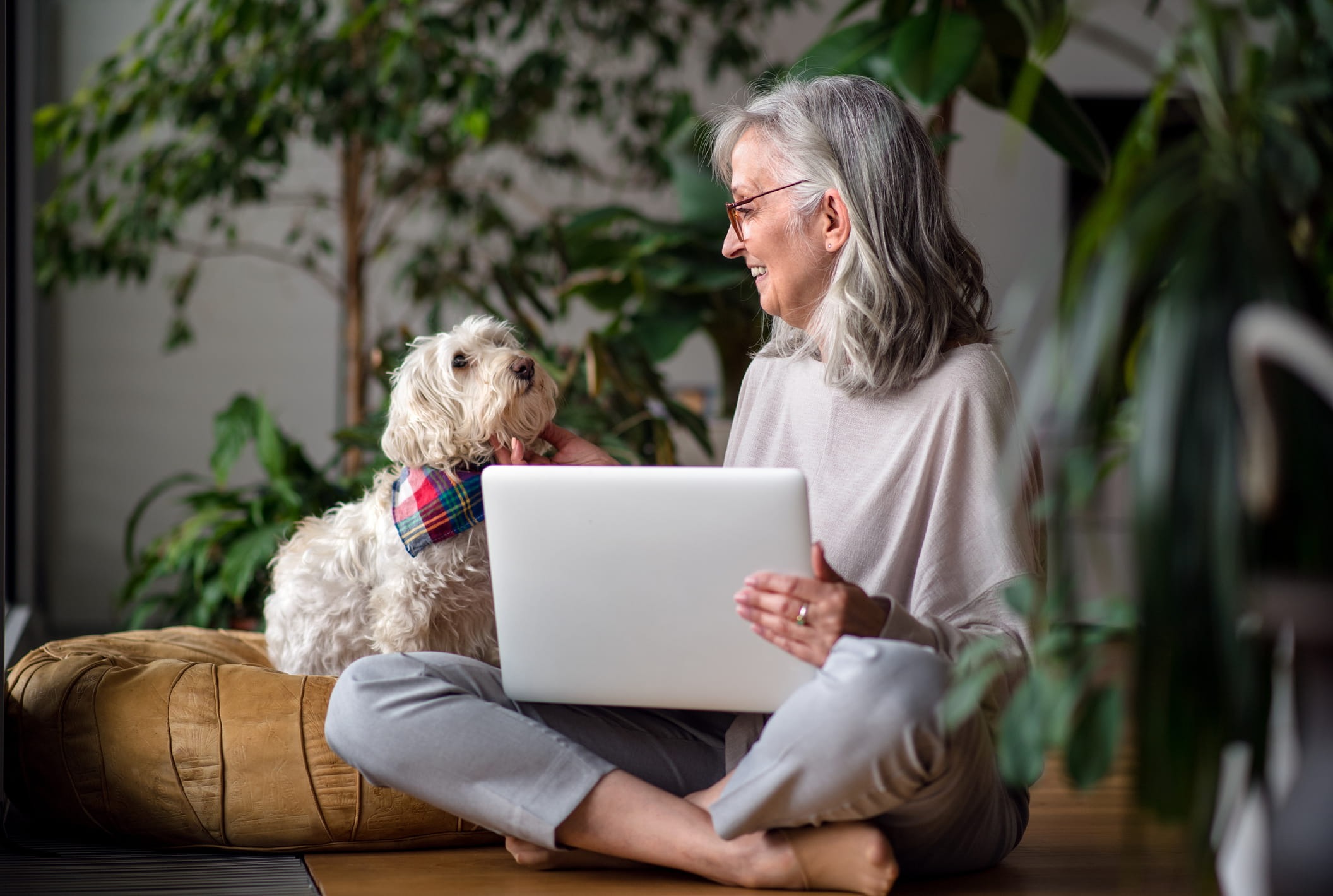 Small Business Owner Guidance