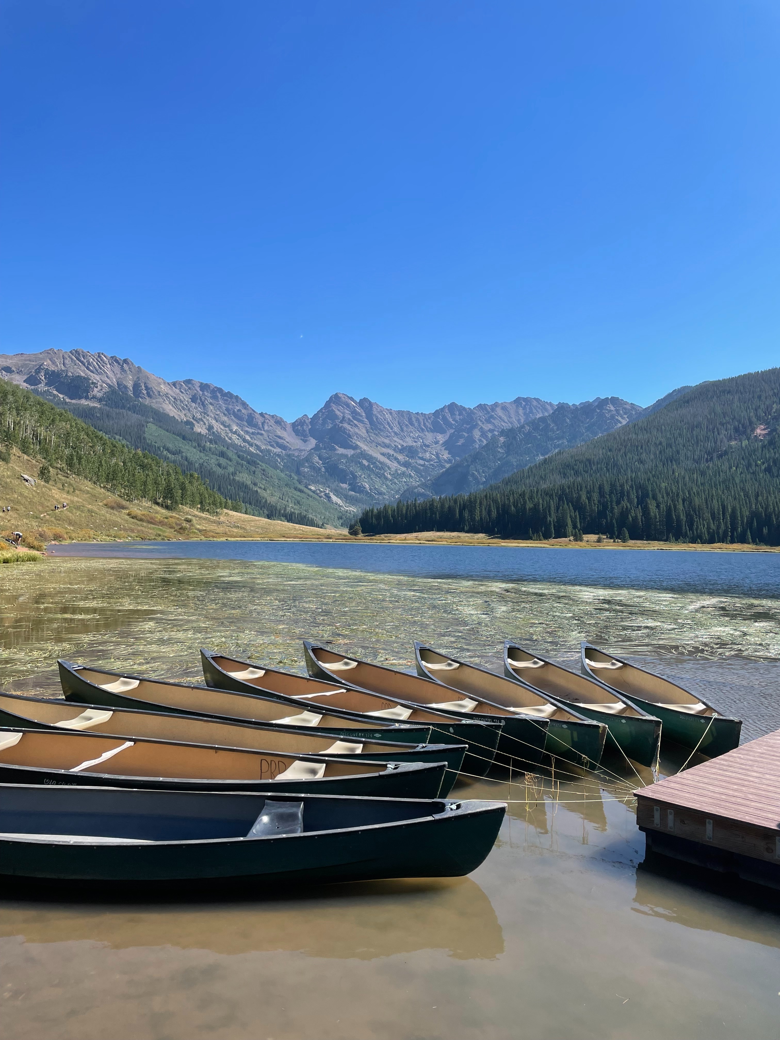 Investing Strategy for<br/> a Brighter Future