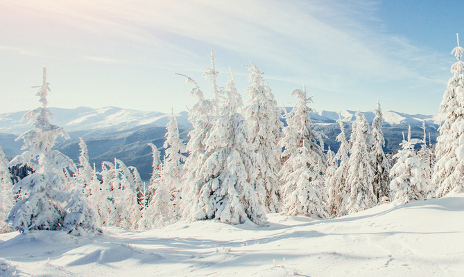 Your trust. Our expertise.