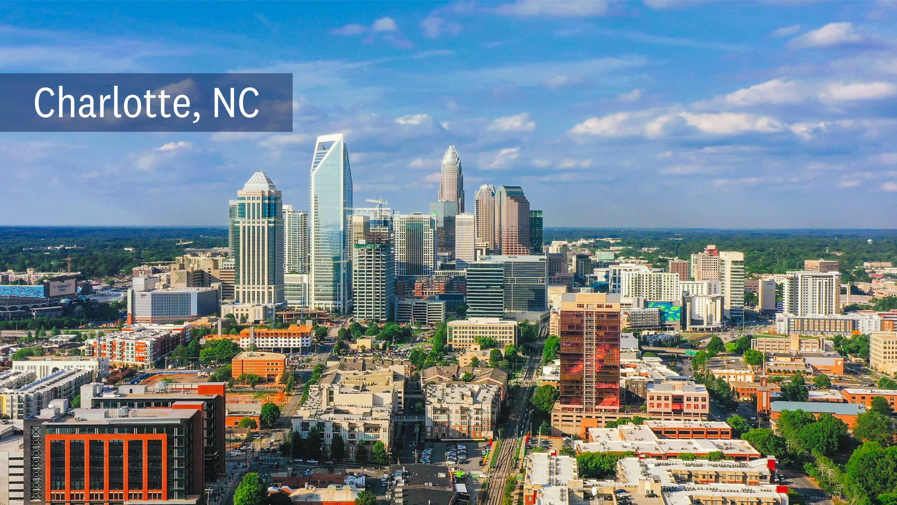 Why Clients Choose Opus