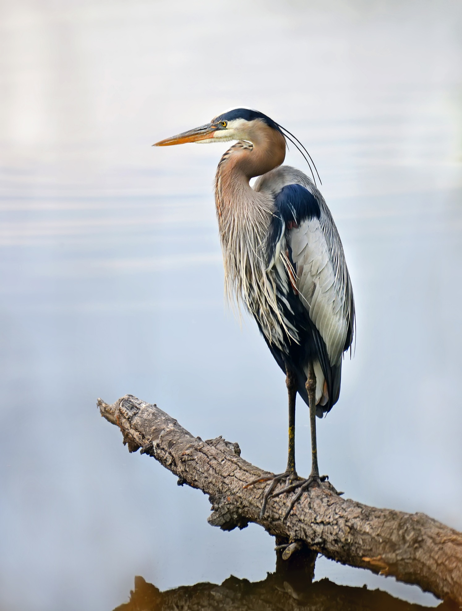 We Offer A Financial Plan To Help Clients Feel Confident