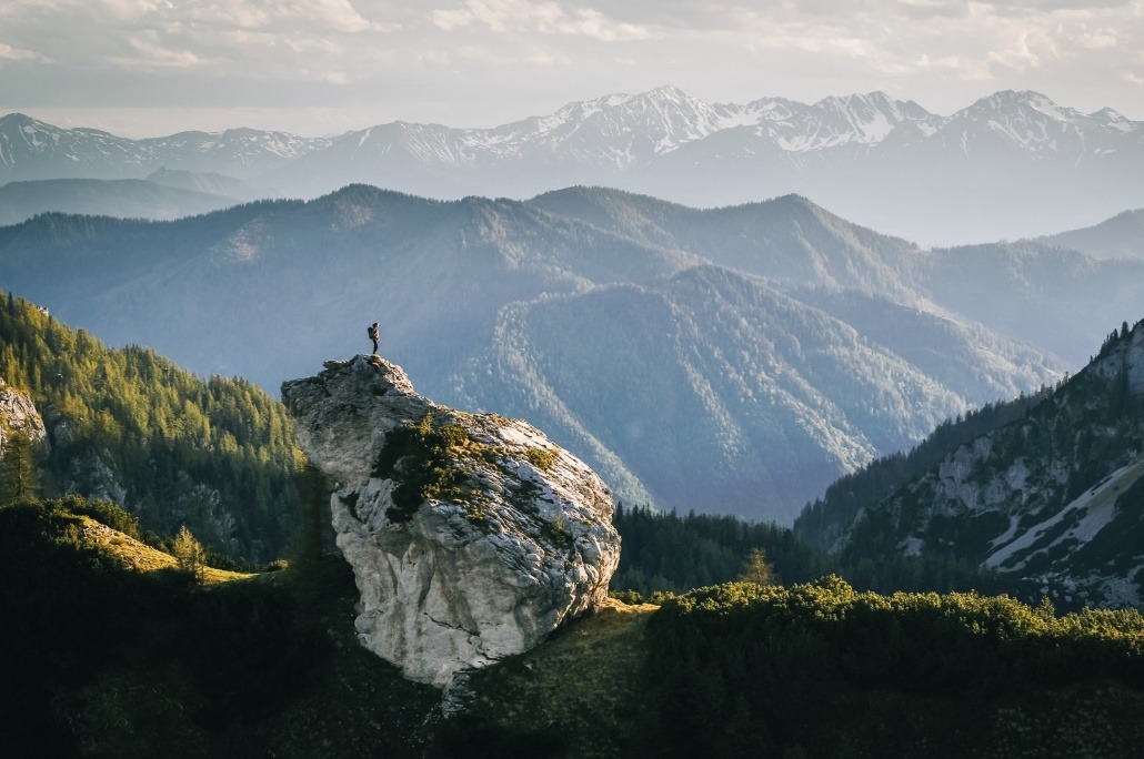 Vista Viewpoints