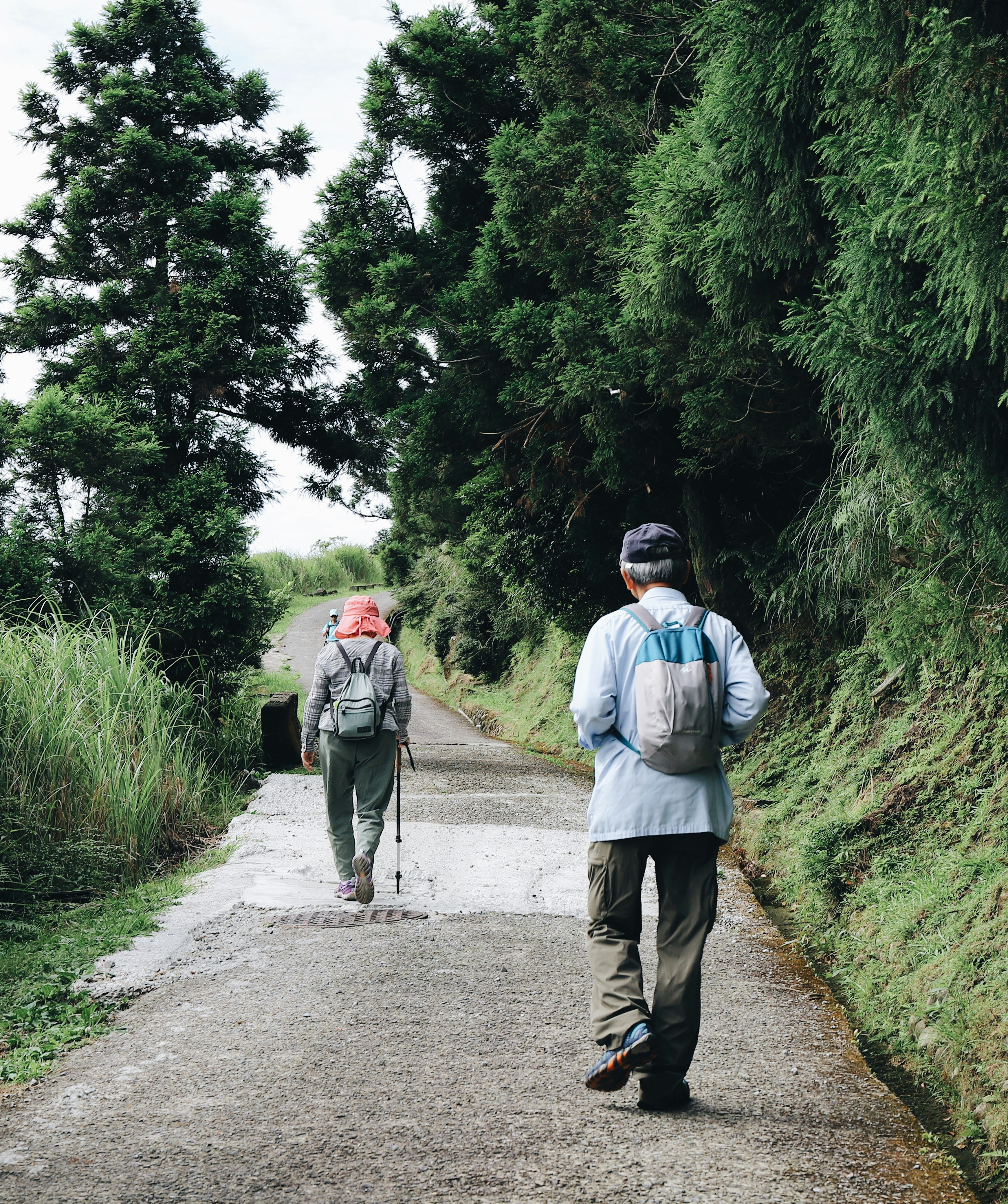 ... no copy here ...