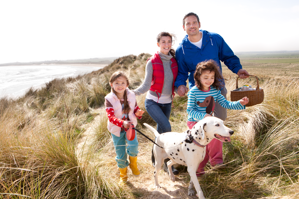 Education-Planning-Section