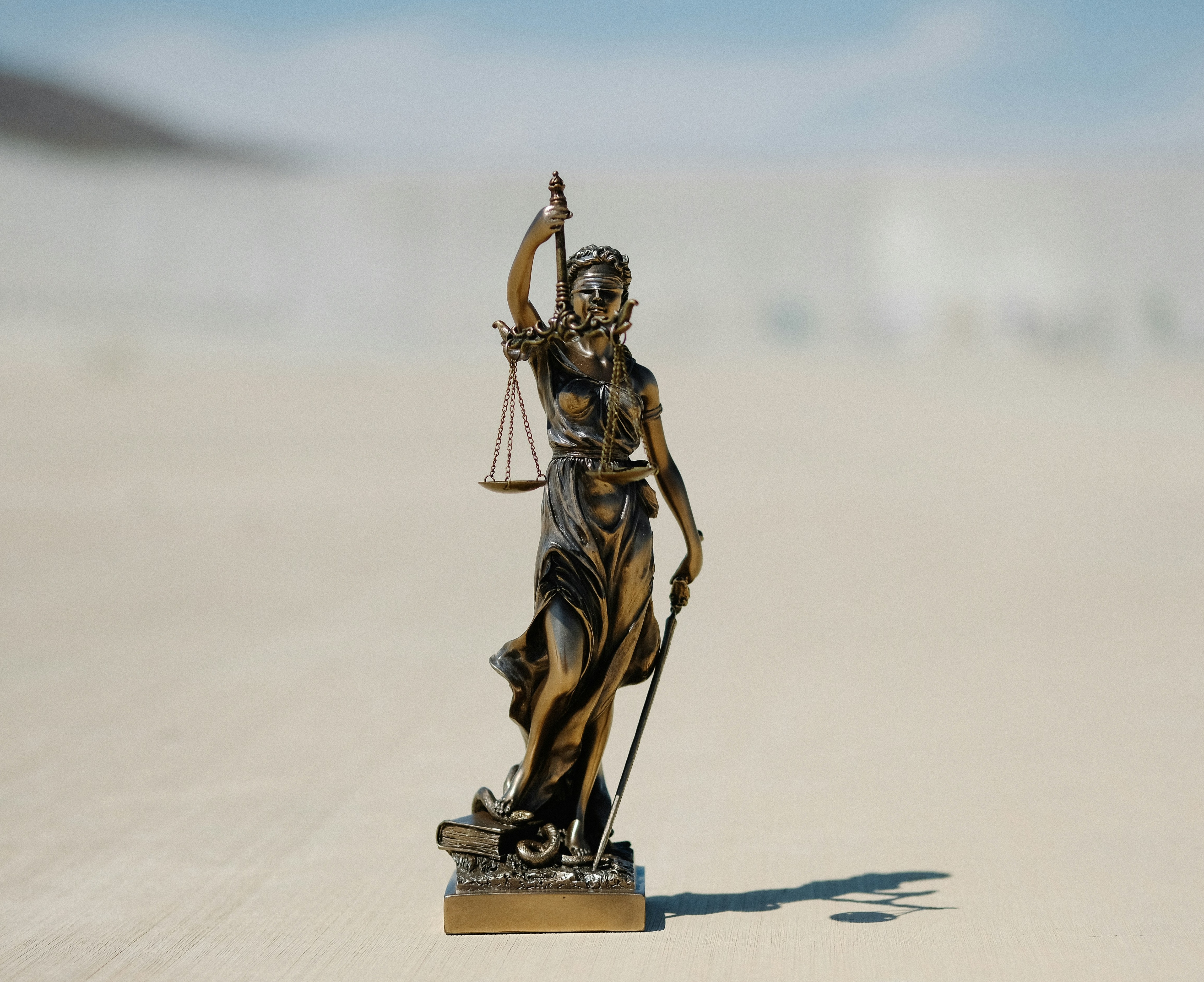 Attorneys & Legal Professionals