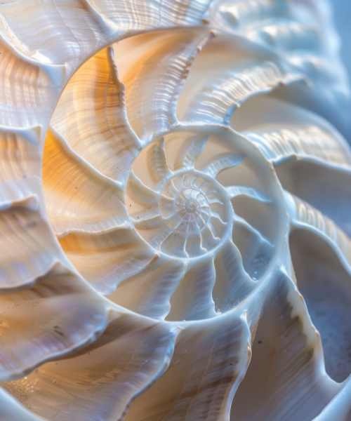A Pathway Towards Abundance and Peace