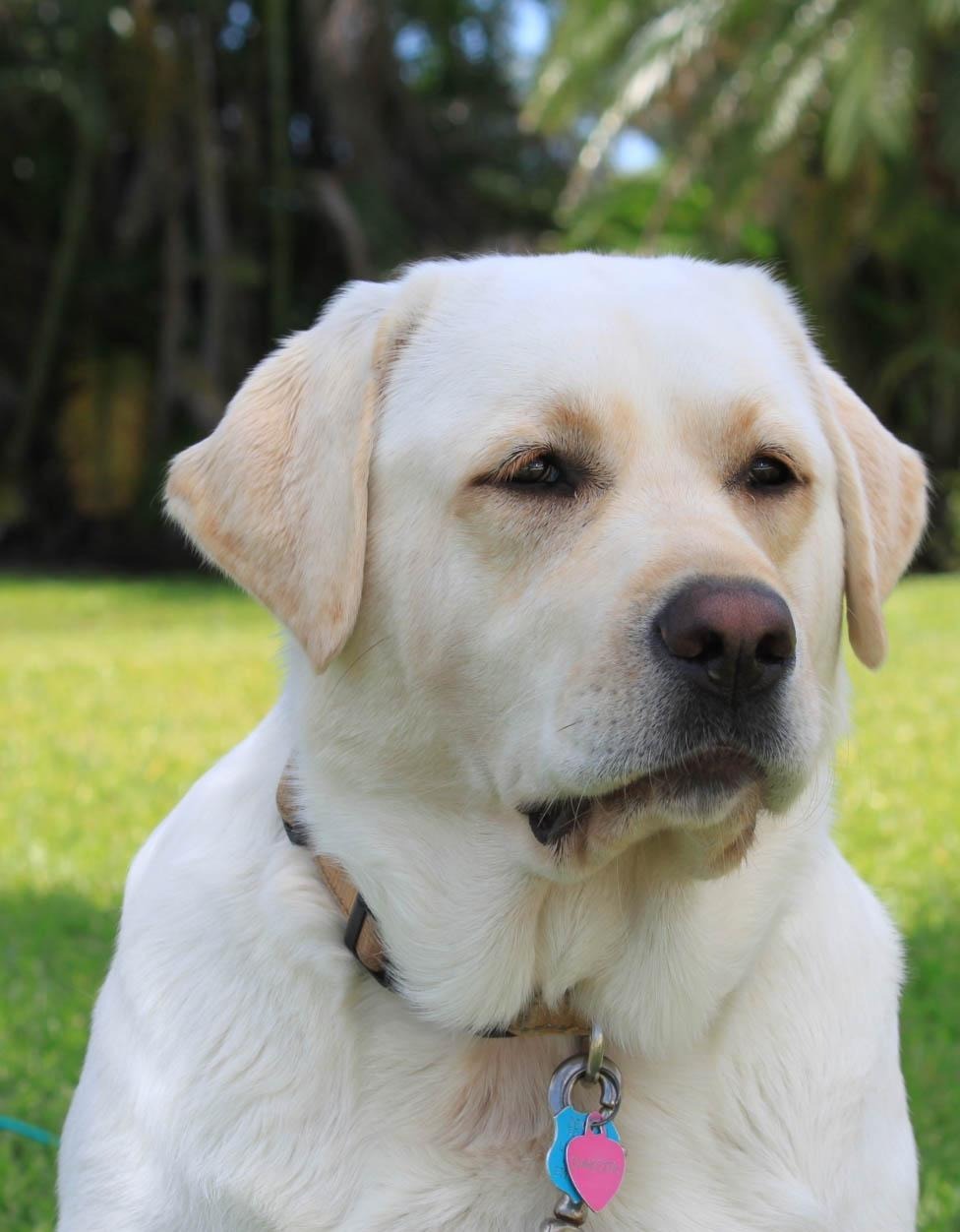 dakota-headshot