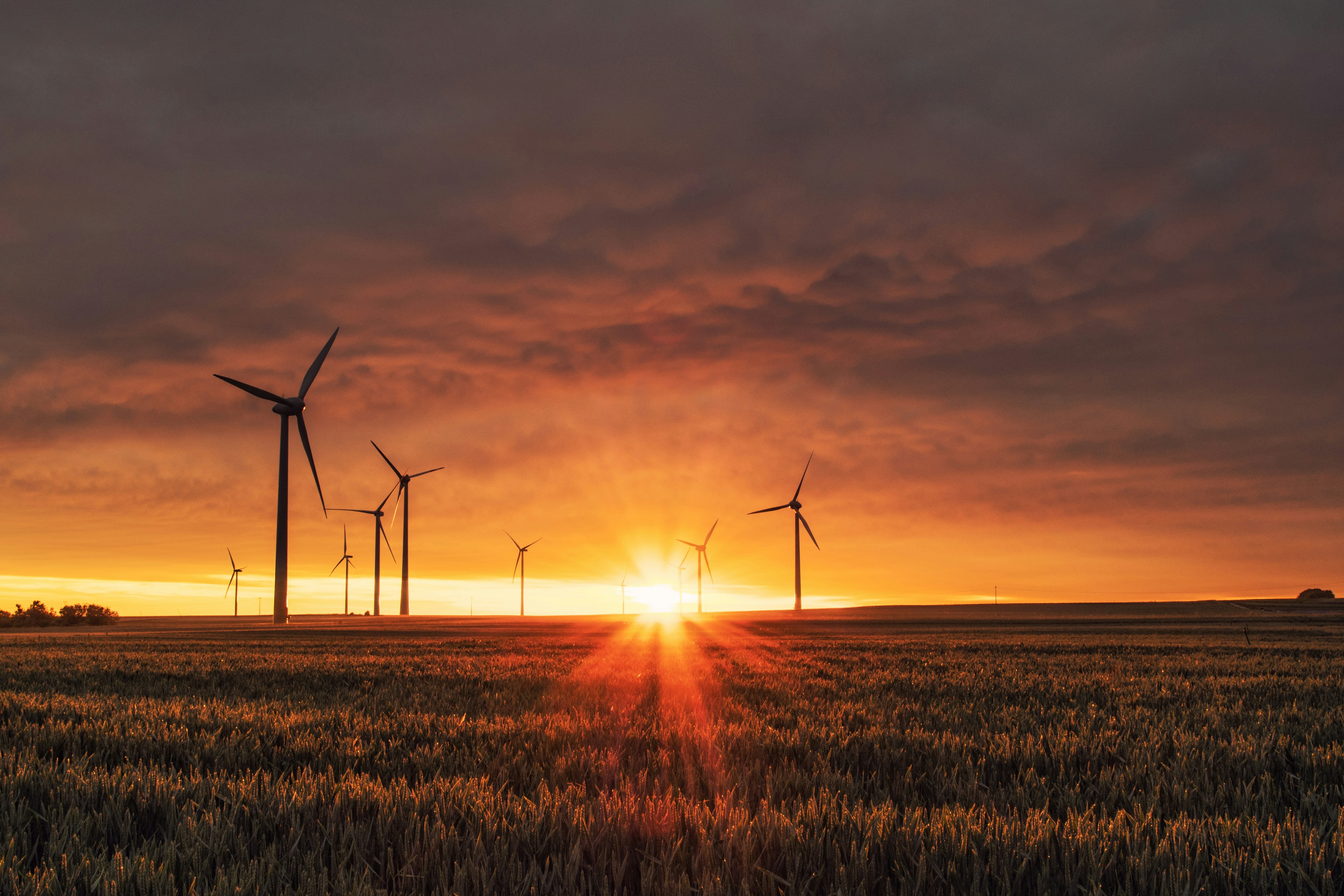 Sustainable and Purpose-Driven Investing
