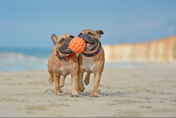 ... no copy here ...