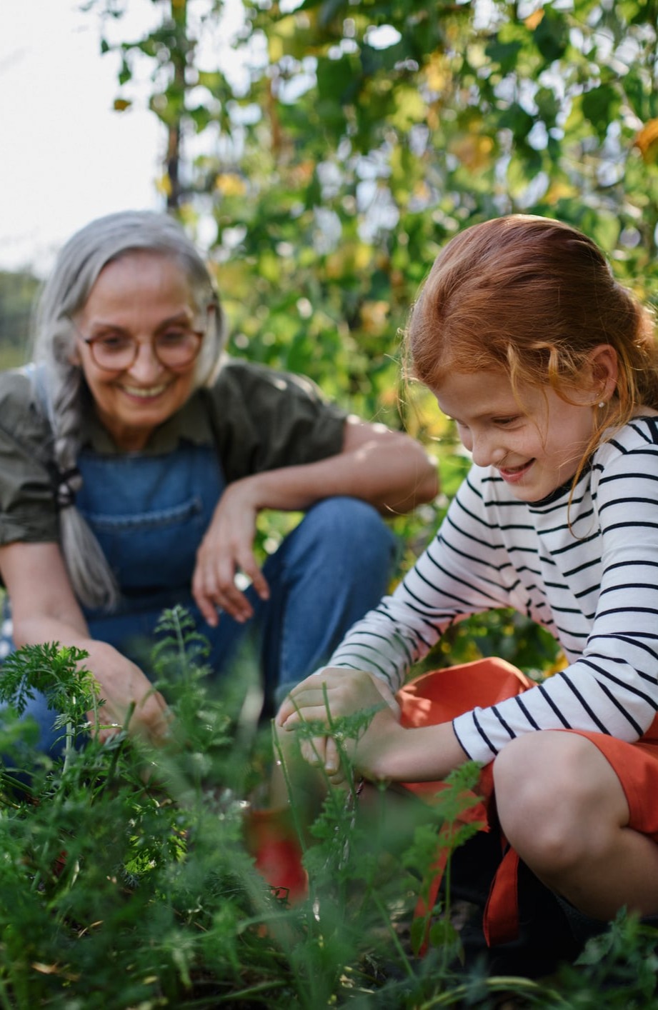 ... no copy here ...