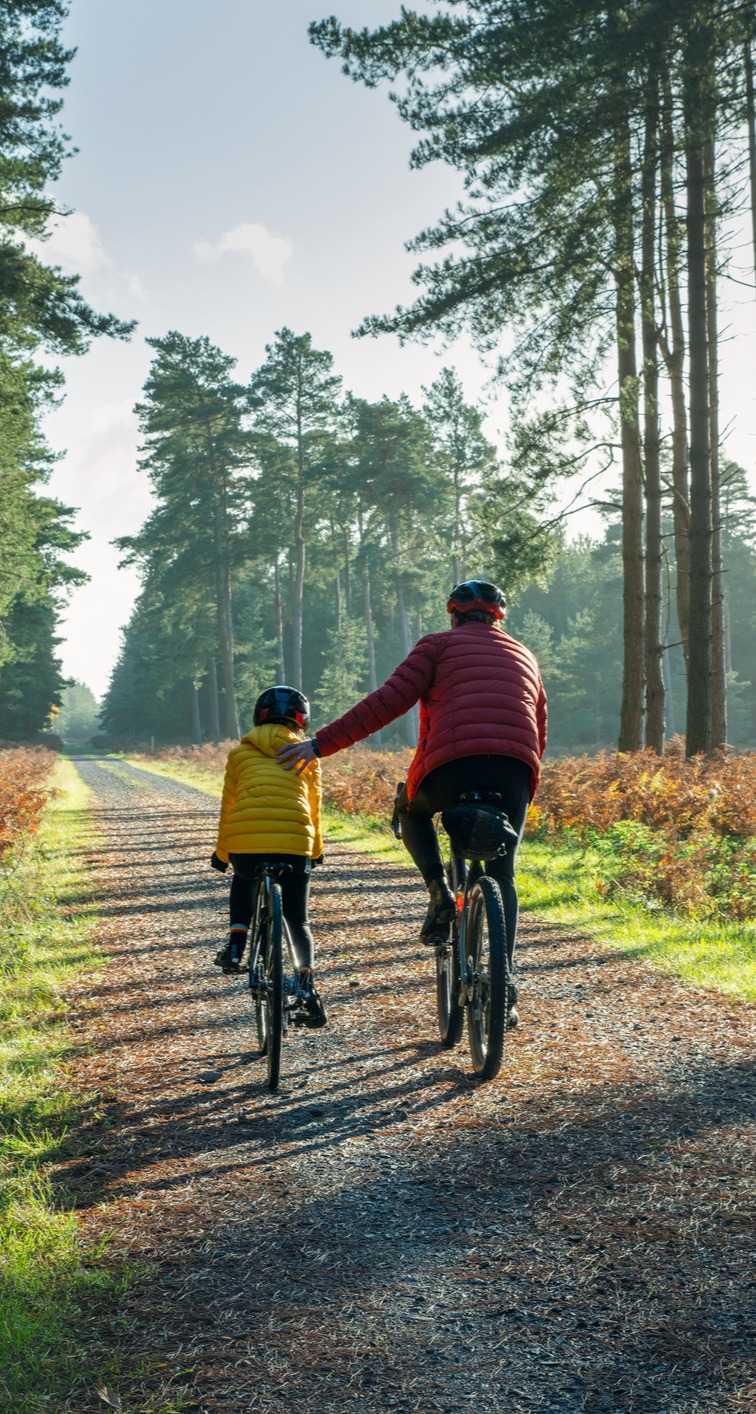 Independent Advice and Guidance