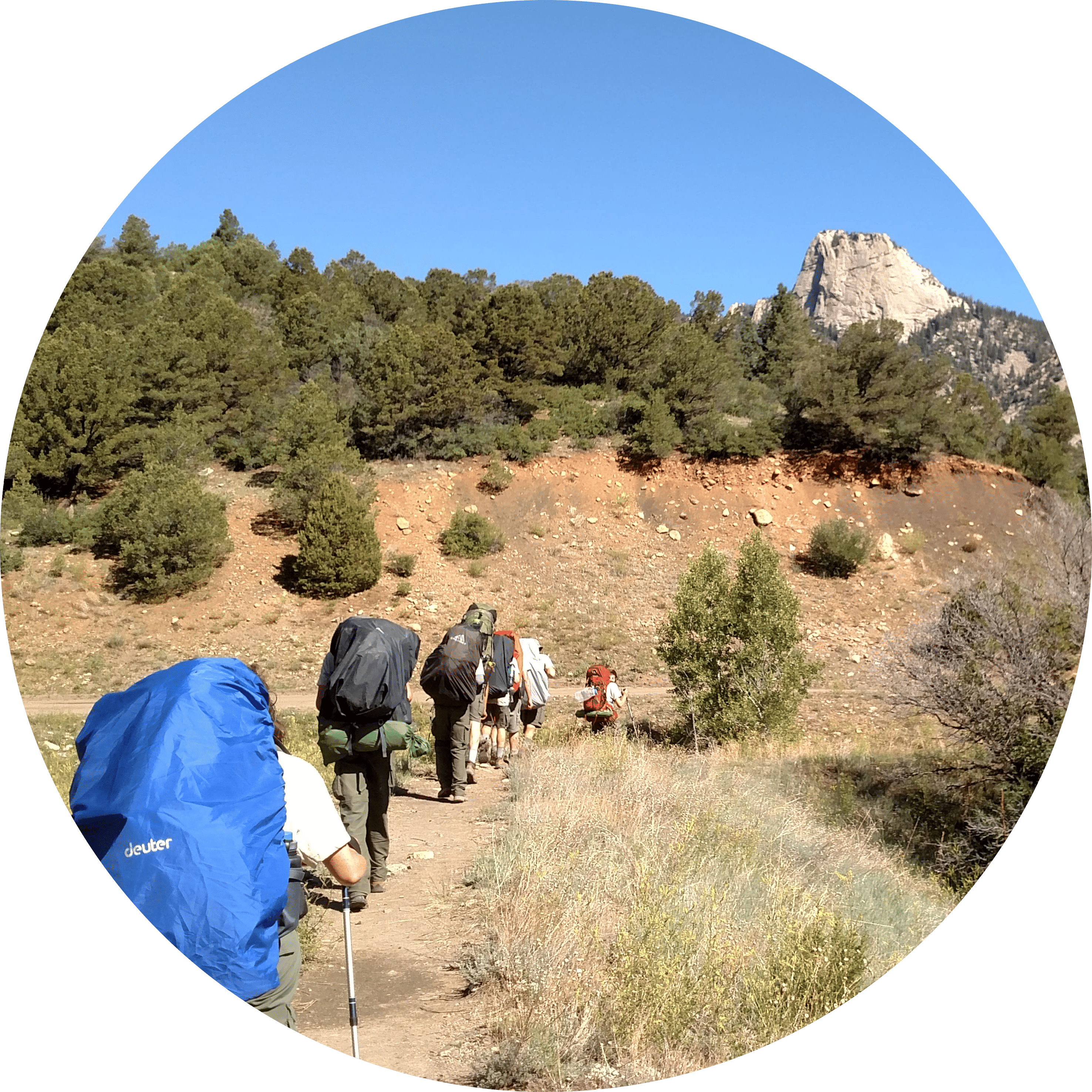 What We Do<br/><strong>Guiding Your Financial Journey</strong>