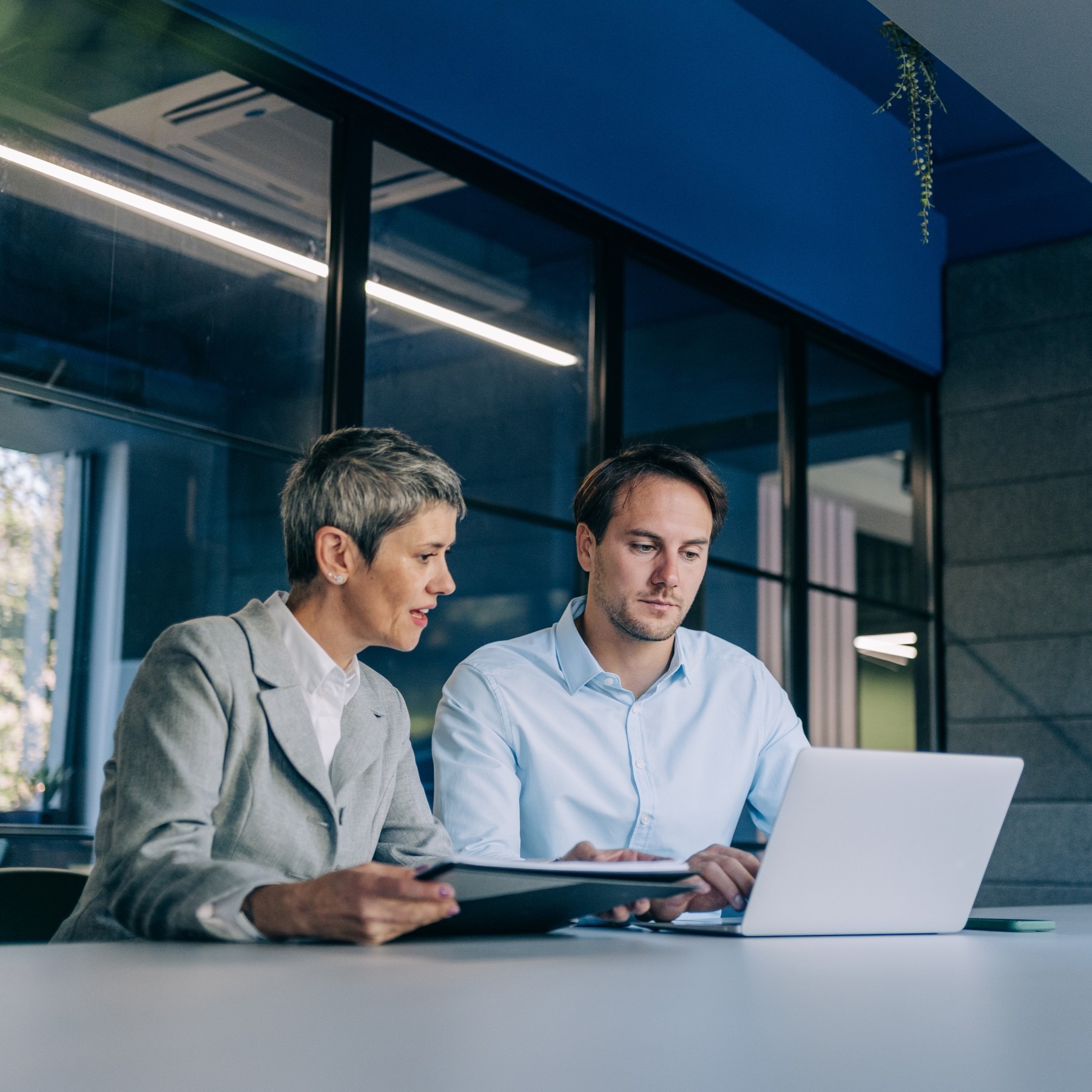 Nonprofits and Endowments