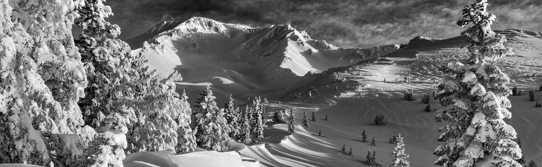 Your trust. Our expertise.