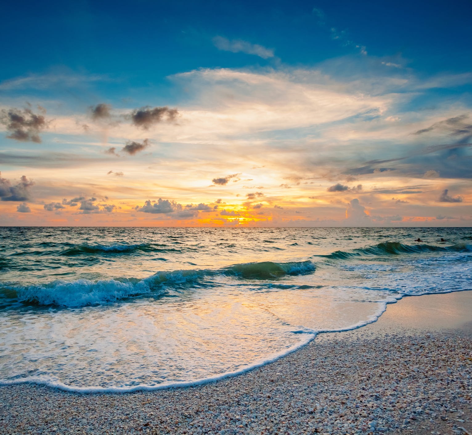 Investment Management