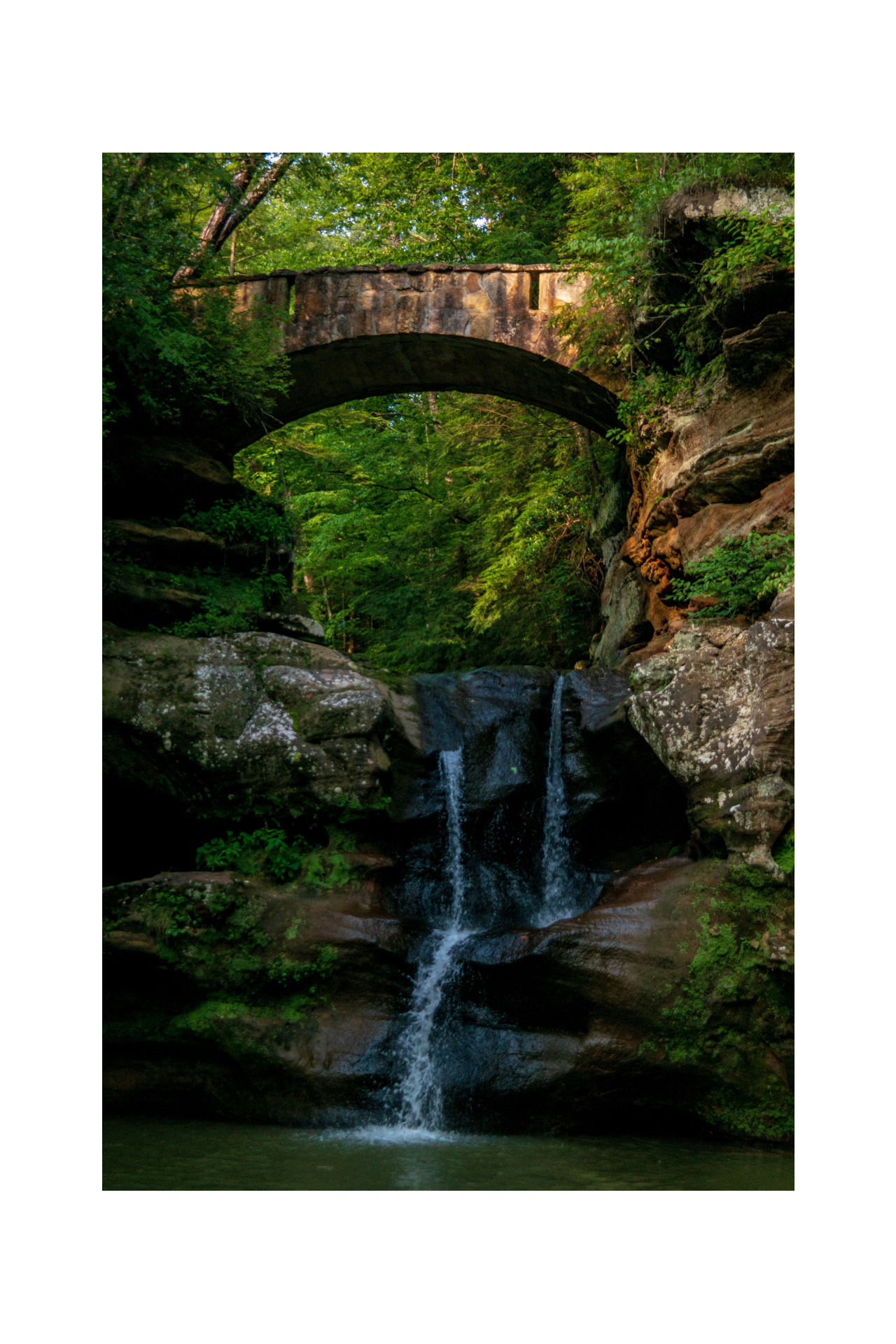 Your trust. Our expertise.