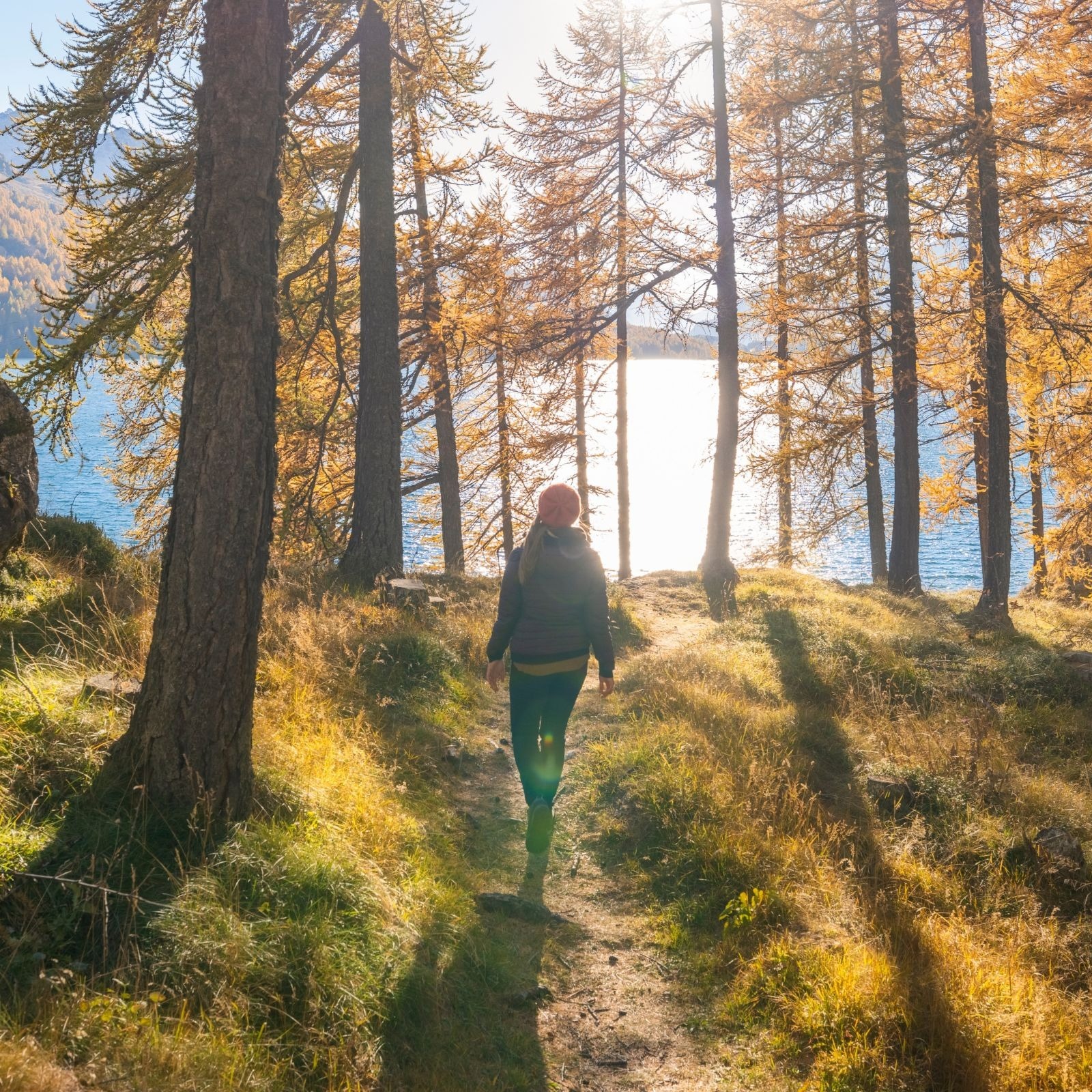 Step 2:<br/>Developing Your Master Plan