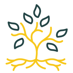 DIVERSIFICATION icon