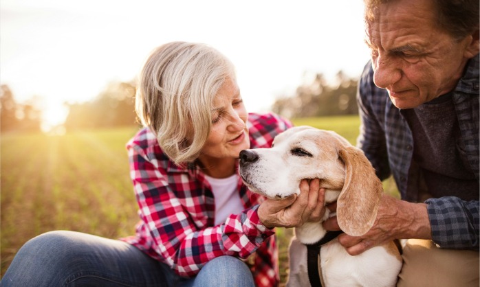 Guidance Through Life’s Transitions