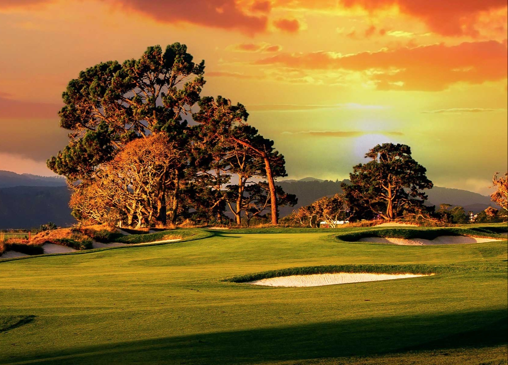 Week of March 17, 2025