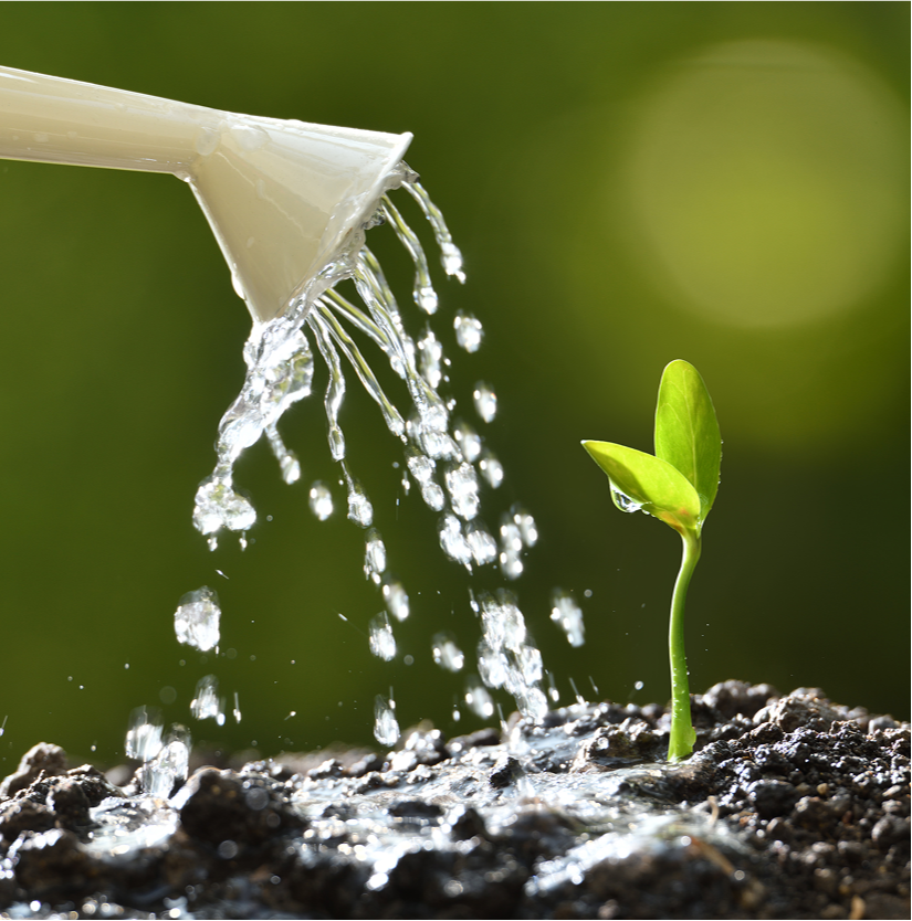 Comprehensive solutions to reach your financial goals