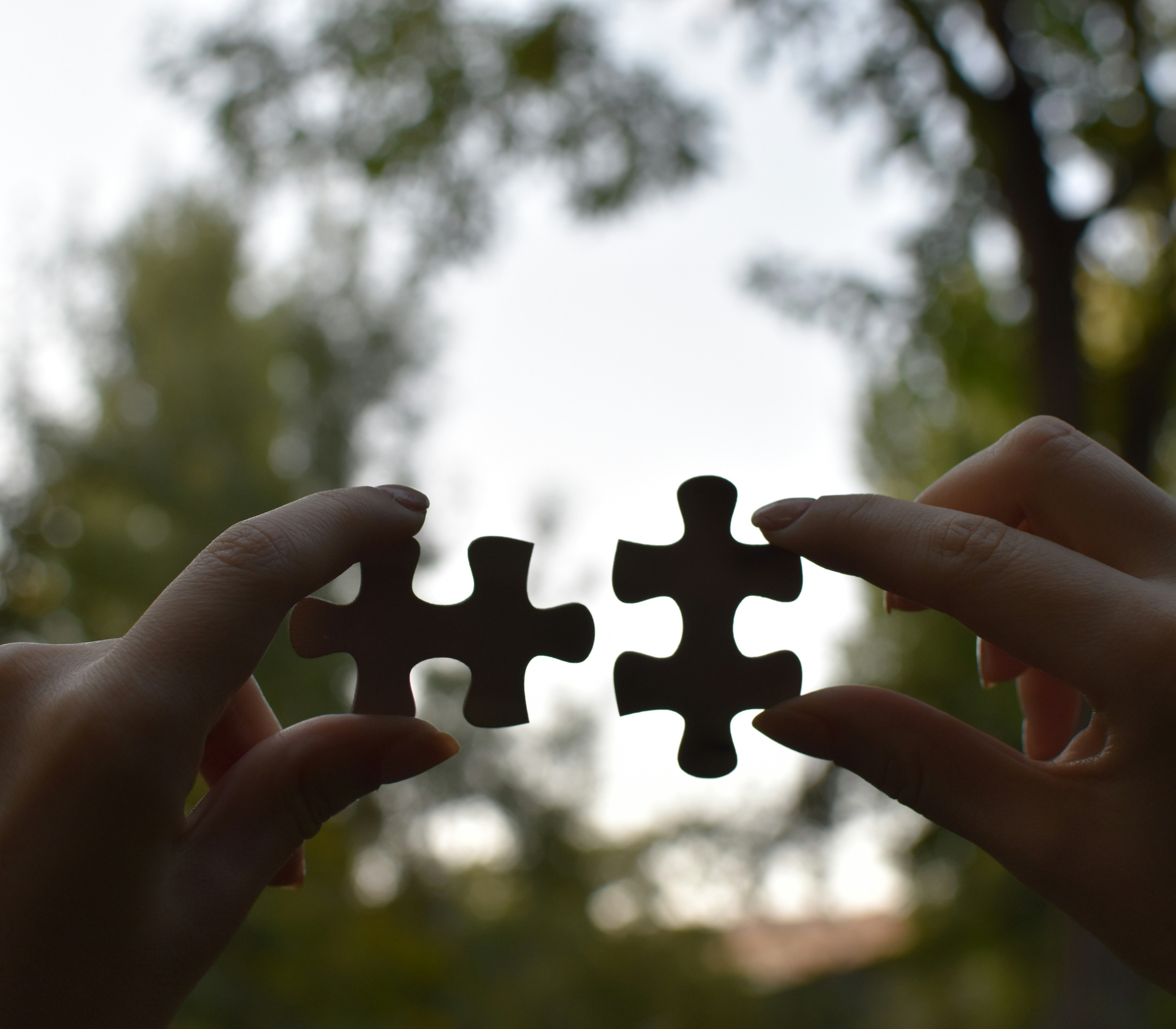 ... no copy here ...