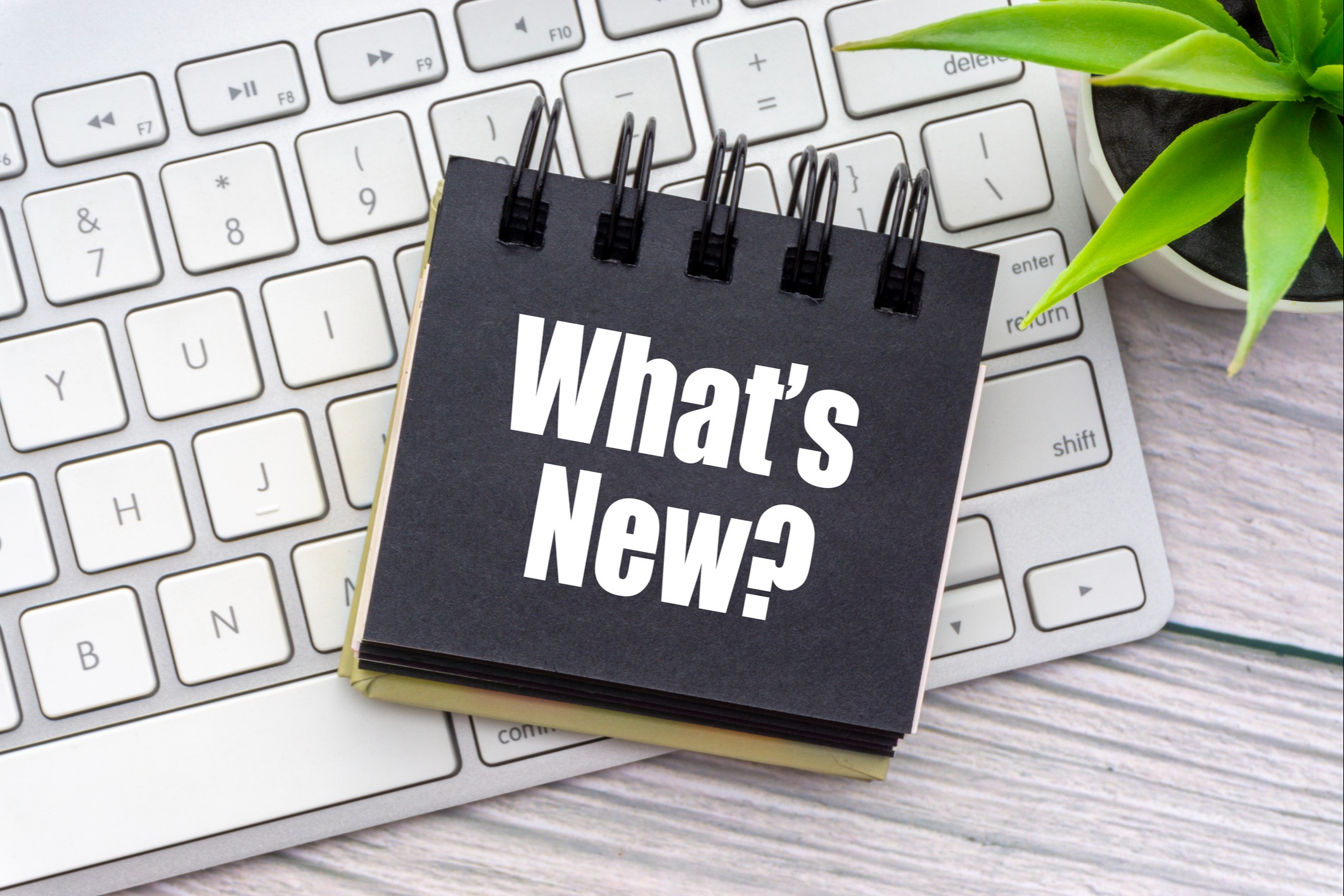 Weekly Market Commentary