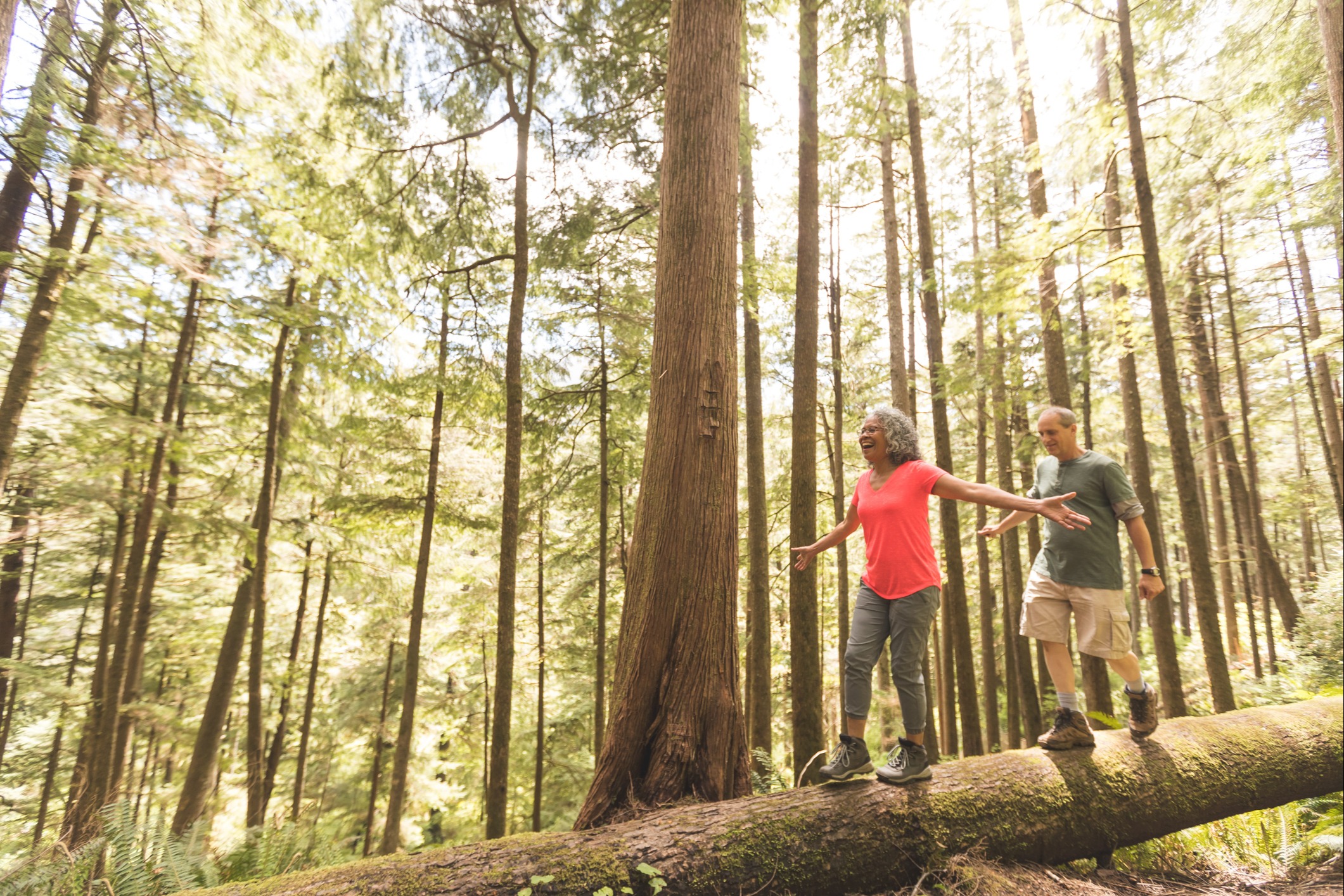 Estate Planning