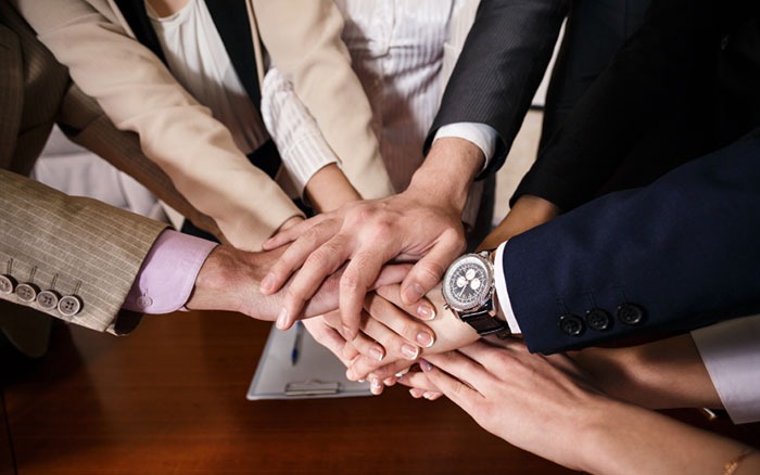 Your Partners