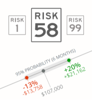 Risk Management