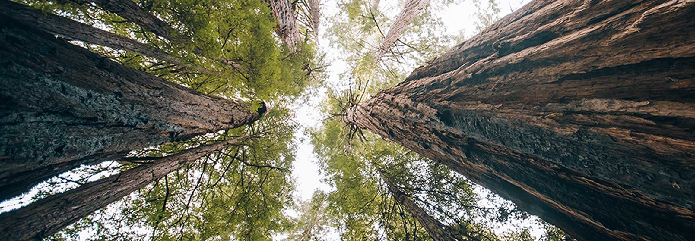 Reach greater heights.