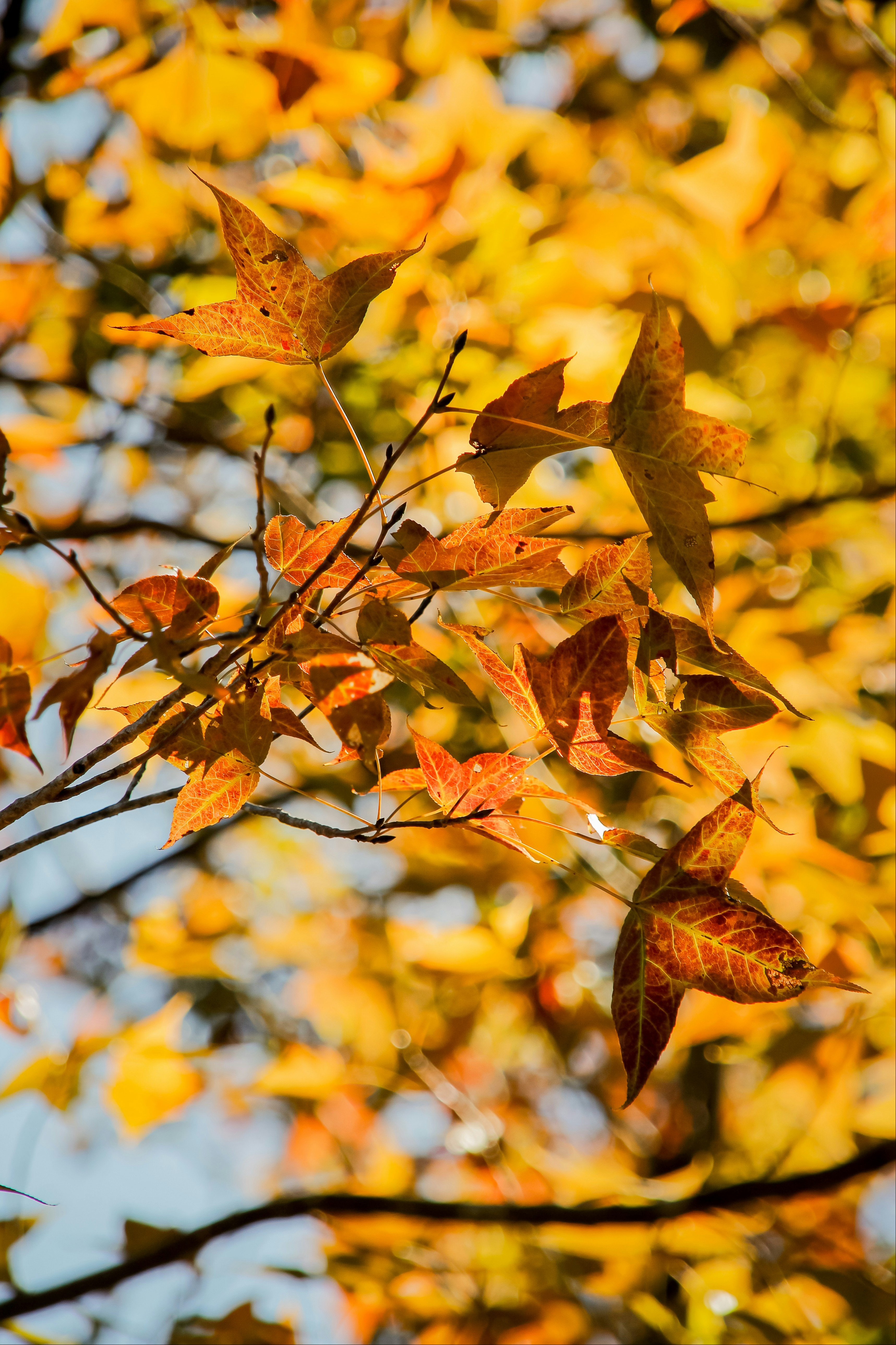 Navigate Your Financial Journey with Confidence and Clarity