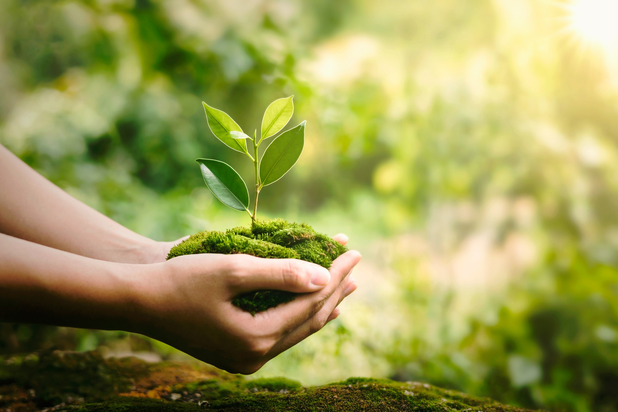 Grow Your Business. Retain Clients.