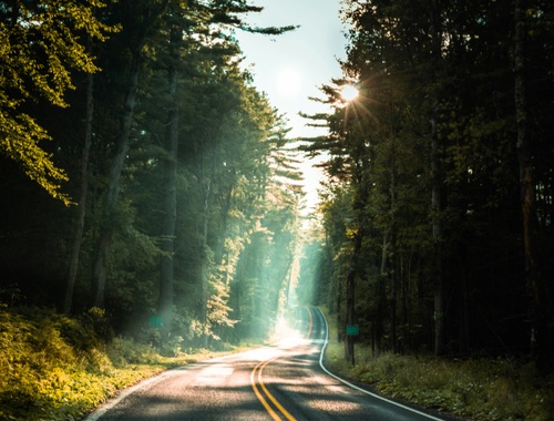 Make the Most of Your Required Minimum Distributions