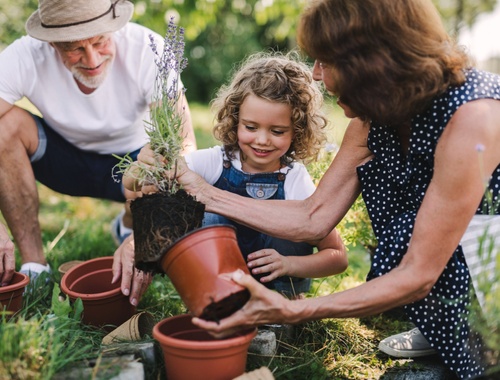 Individuals & Families