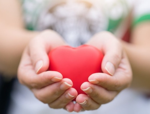 Charitable Giving/ Legacy Planning