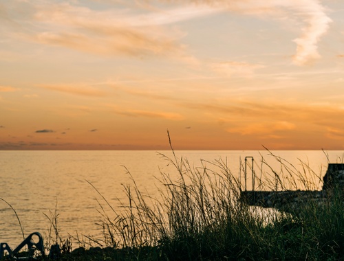 Choosing the Best 401(k) Rollover Option for You