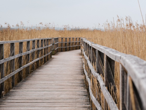 Our mission is to preserve and grow our client's assets to protect their present and enable their future.